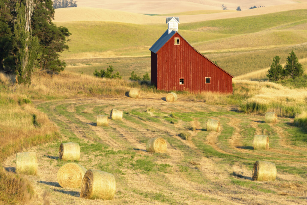 Red Barn and Hay Bales